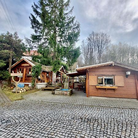 Apartment Am Hochwald Reinhardtsdorf-Schona Extérieur photo