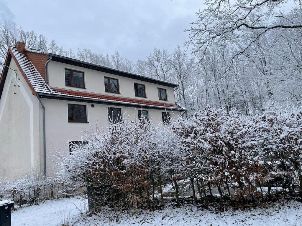 Apartment Am Hochwald Reinhardtsdorf-Schona Extérieur photo